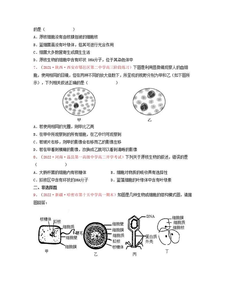 考点01 走近细胞（原卷版）练习第2页