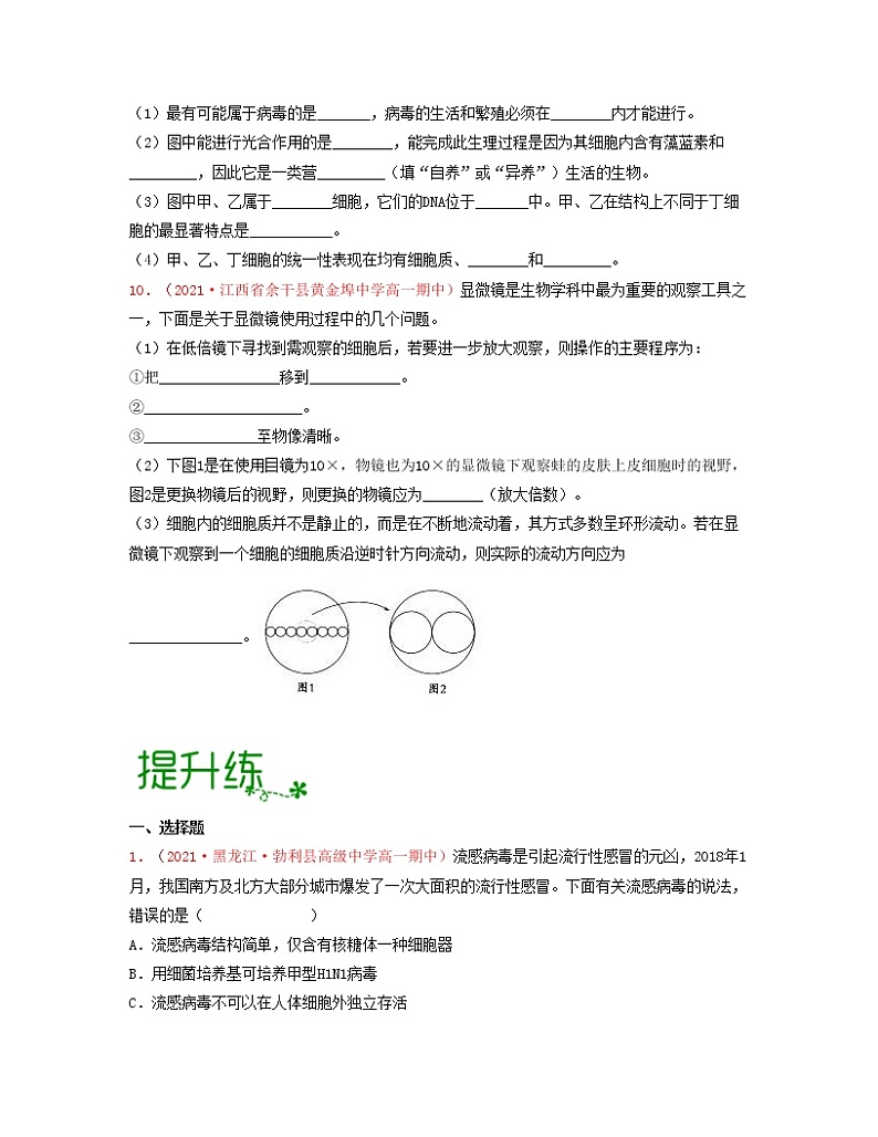 考点01 走近细胞（原卷版）练习第3页