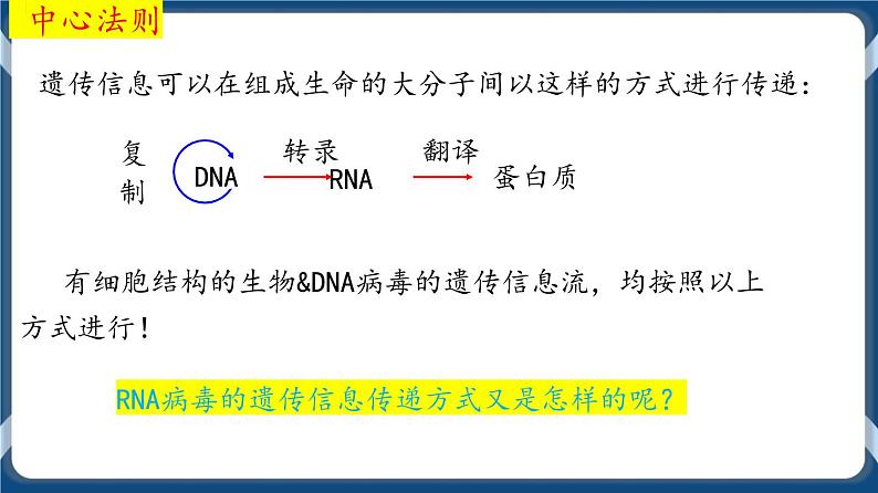 考点02 基因表达与性状的关系 课件第2页