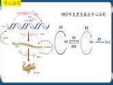 考点02 基因表达与性状的关系 课件