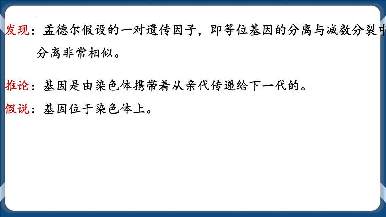 考点02 基因在染色体上 课件第3页