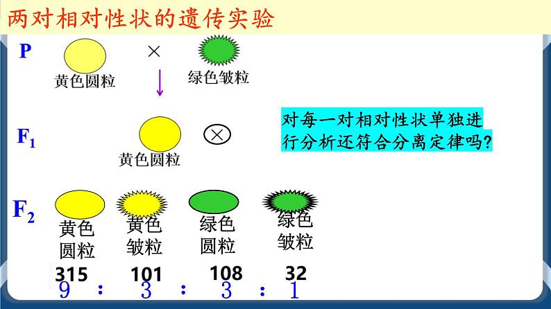 考点02 孟德尔的豌豆杂交实验（二）课件第2页