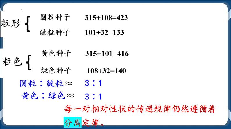 考点02 孟德尔的豌豆杂交实验（二）课件第3页