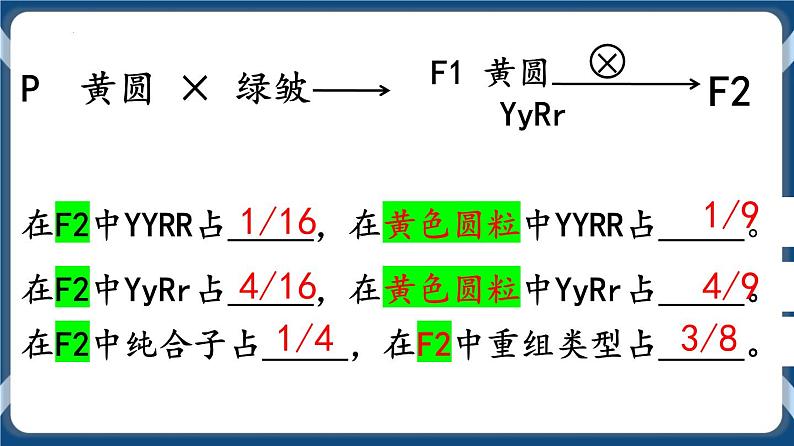 考点02 孟德尔的豌豆杂交实验（二）课件第4页