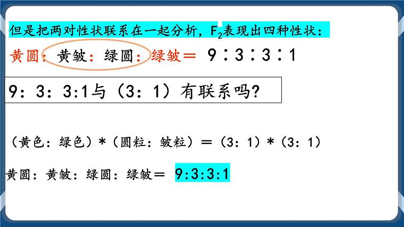 考点02 孟德尔的豌豆杂交实验（二）课件第5页