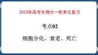 考点02 细胞分化、衰老、死亡 课件