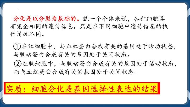 考点02 细胞分化、衰老、死亡 课件04