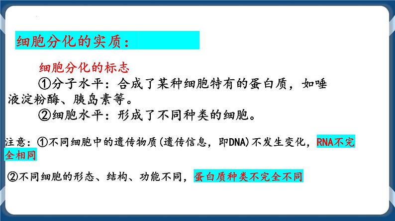 考点02 细胞分化、衰老、死亡 课件07