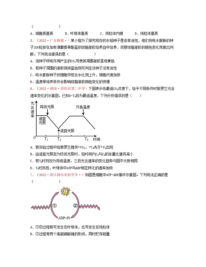 考点02 细胞中能量的利用（原卷版）练习第2页