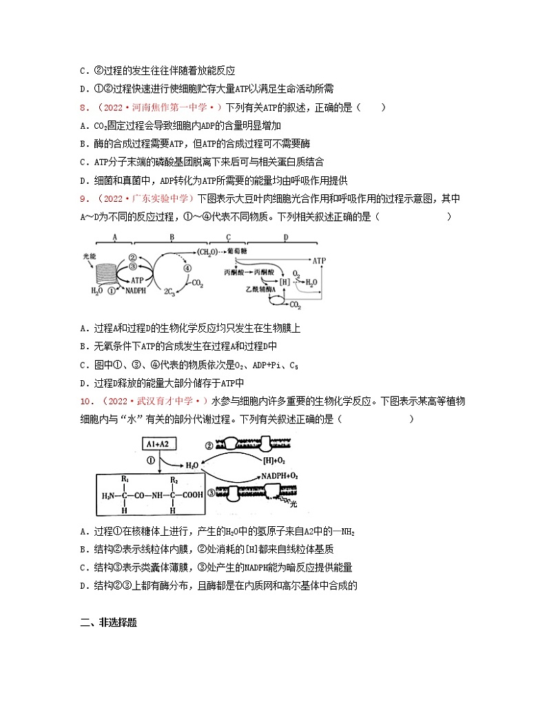 考点02 细胞中能量的利用（原卷版）练习第3页