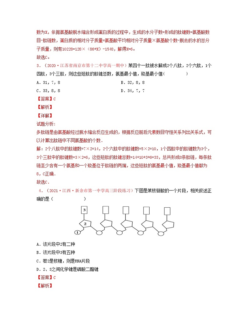 考点03 蛋白质（解析版）练习第2页