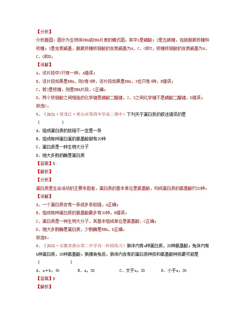 考点03 蛋白质（解析版）练习第3页