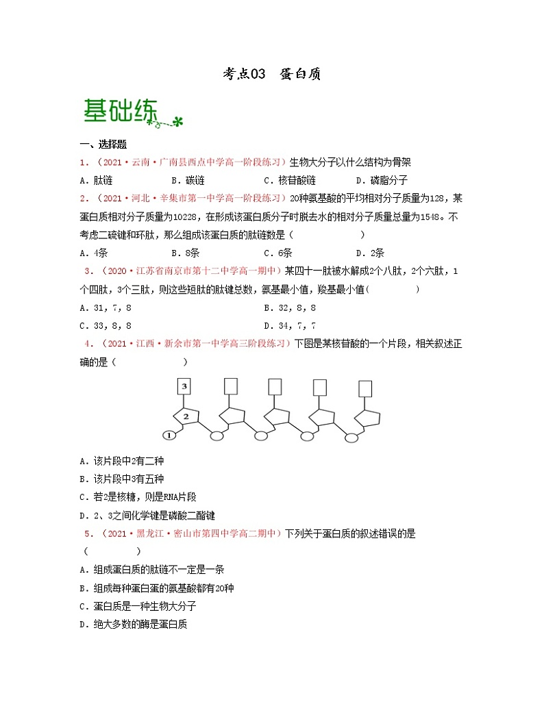 考点03 蛋白质（原卷版）练习第1页