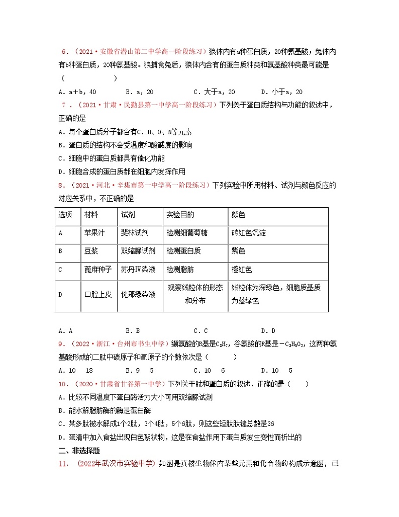 考点03 蛋白质（原卷版）练习第2页