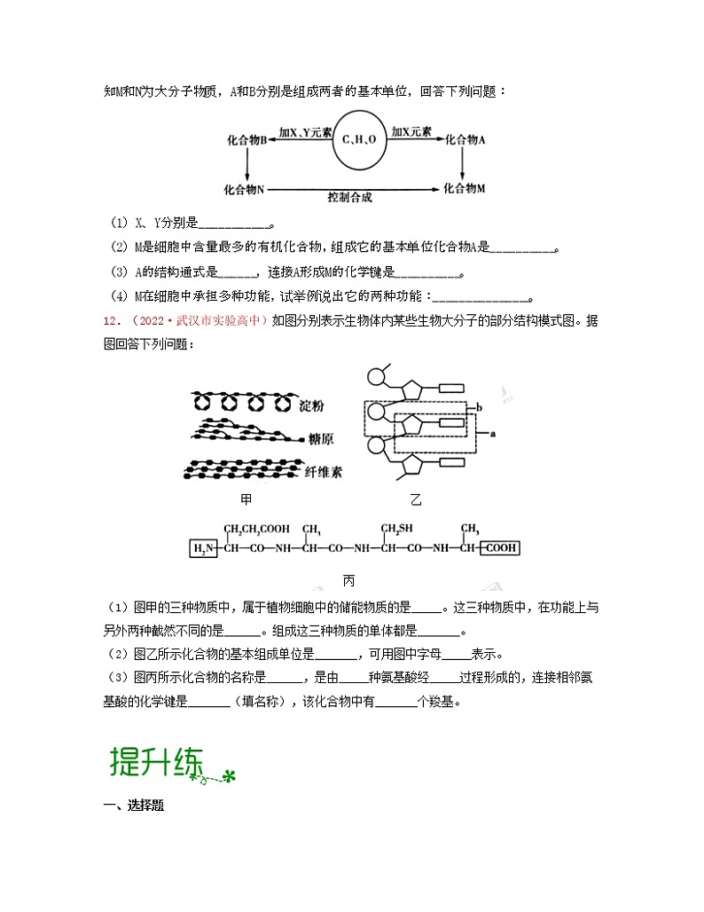考点03 蛋白质（原卷版）练习第3页