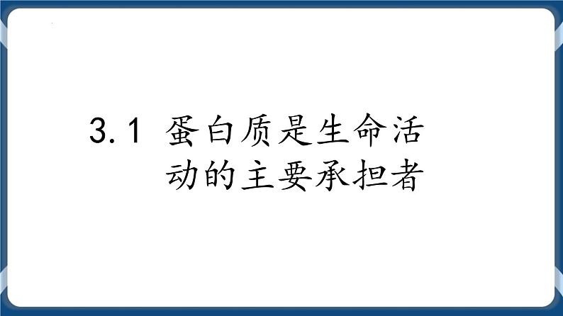 考点03 蛋白质 课件第2页