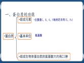 考点03 蛋白质 练习+课件