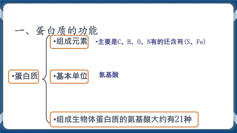 考点03 蛋白质 课件第3页