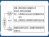 考点03 细胞核的结构与功能 课件