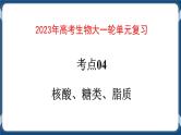 考点04 核酸、糖类和脂质 练习+课件