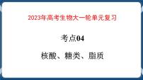 考点04 核酸、糖类和脂质 练习+课件