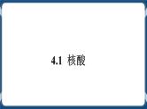 考点04 核酸、糖类和脂质 练习+课件