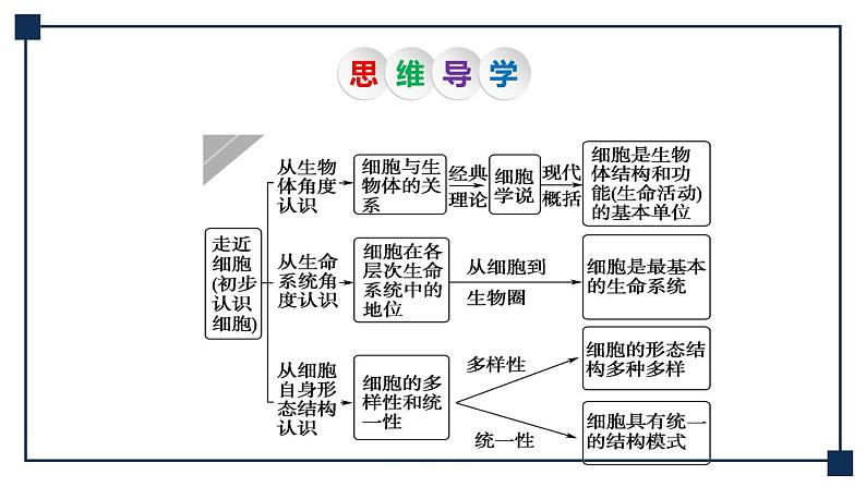 第01讲 走近细胞 课件05