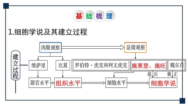 第01讲 走近细胞 课件08