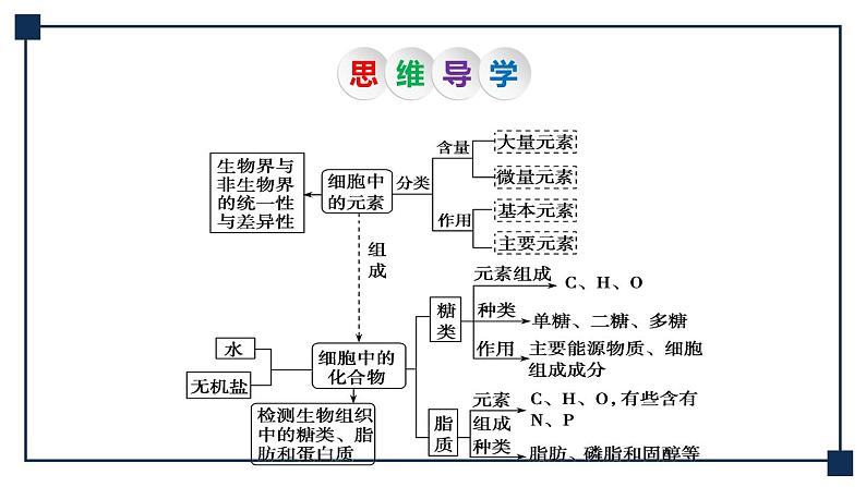 第02讲 细胞中的无机物、糖类和脂质 课件05