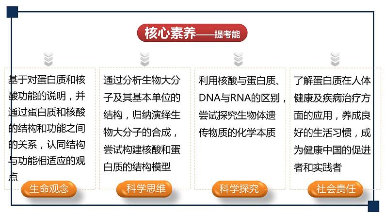 第03讲 蛋白质和核酸 课件第3页