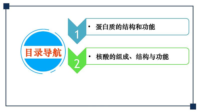 第03讲 蛋白质和核酸 课件第4页