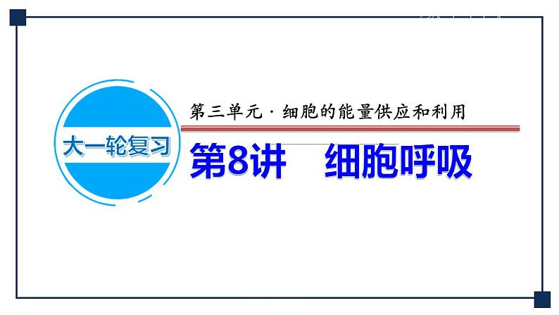 第08讲 细胞呼吸 课件第1页