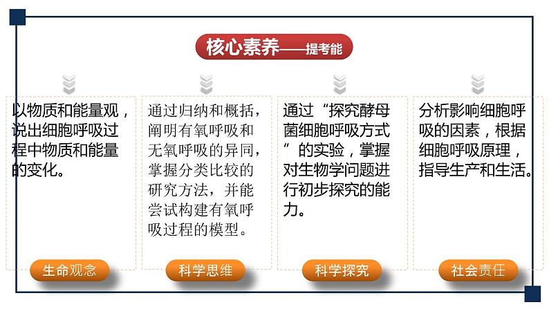 第08讲 细胞呼吸 课件第3页