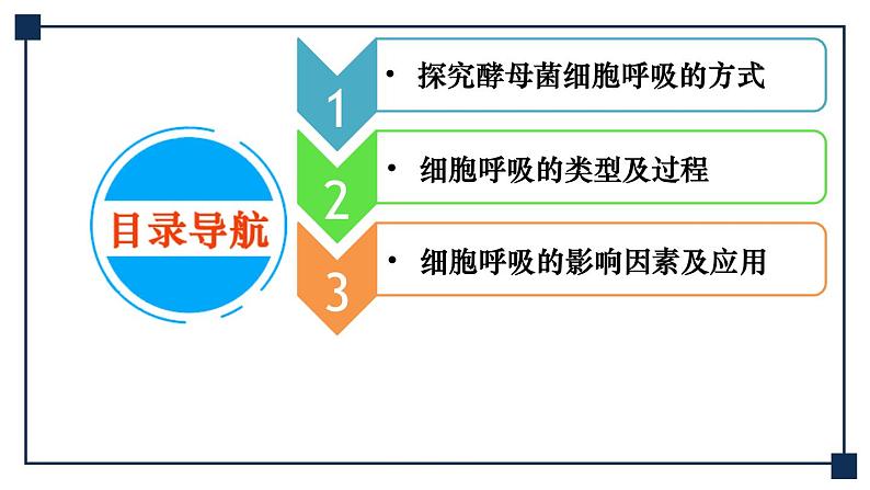 第08讲 细胞呼吸 课件第4页