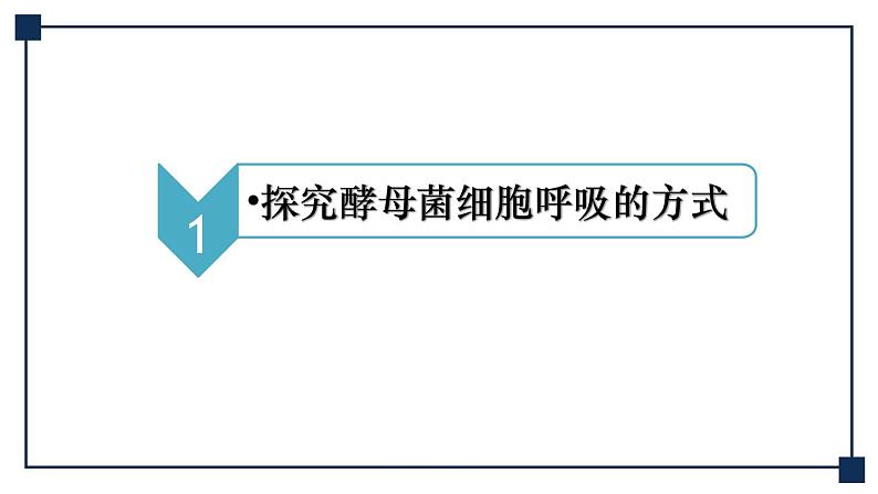 第08讲 细胞呼吸 课件第6页