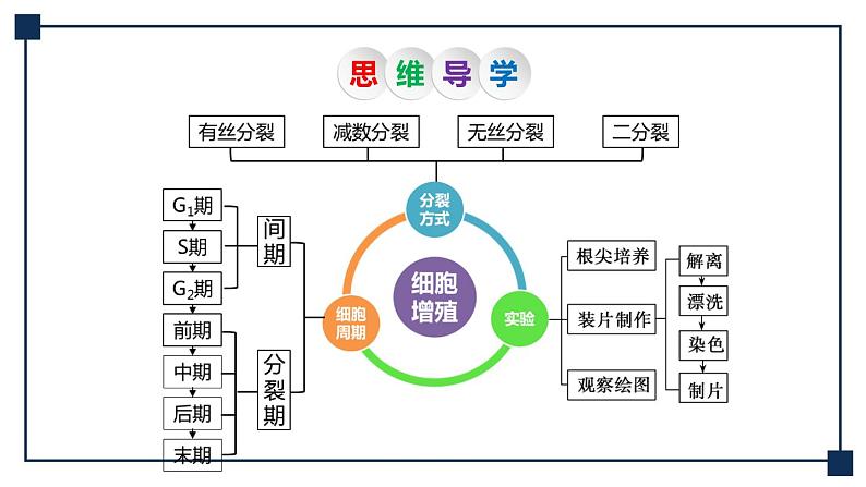 第10讲 细胞的增殖 课件05