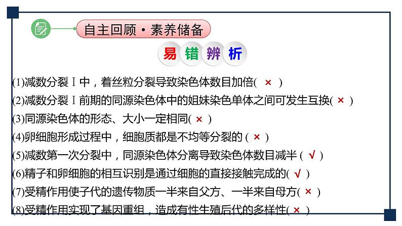 第11讲 减数分裂和受精作用 课件第7页