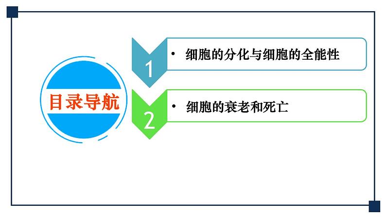 第12讲 细胞的分化、衰老和死亡 课件04