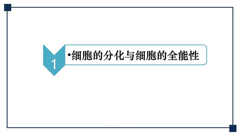 第12讲 细胞的分化、衰老和死亡 课件06