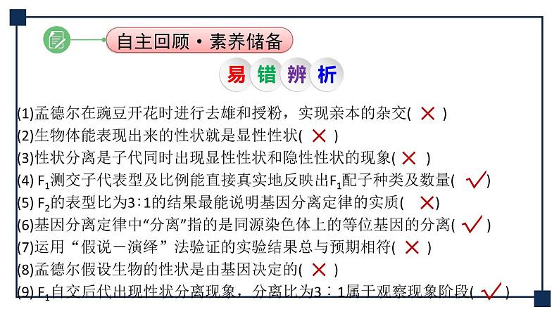 第13讲 孟德尔的豌豆杂交实验(一)——基因的分离定律 课件07