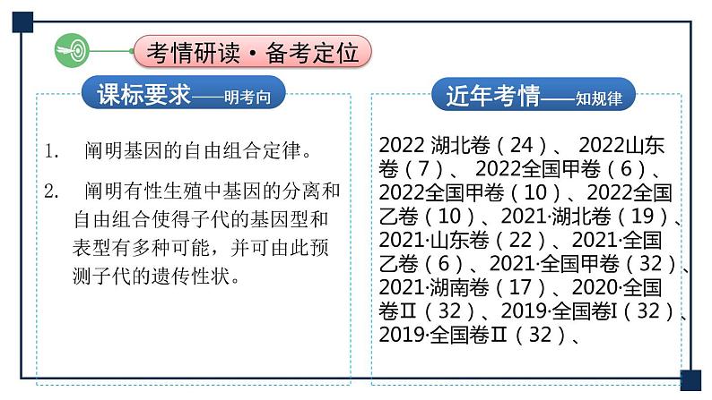 第14讲 孟德尔的豌豆杂交实验(二)——基因的自由组合定律 课件第2页