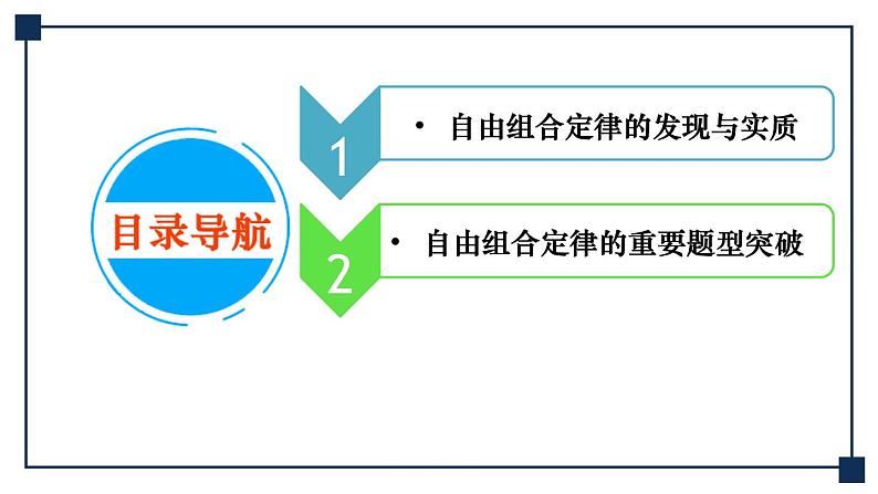 第14讲 孟德尔的豌豆杂交实验(二)——基因的自由组合定律 课件第4页