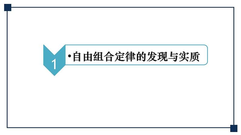 第14讲 孟德尔的豌豆杂交实验(二)——基因的自由组合定律 课件第6页