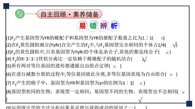 第14讲 孟德尔的豌豆杂交实验(二)——基因的自由组合定律 课件第7页