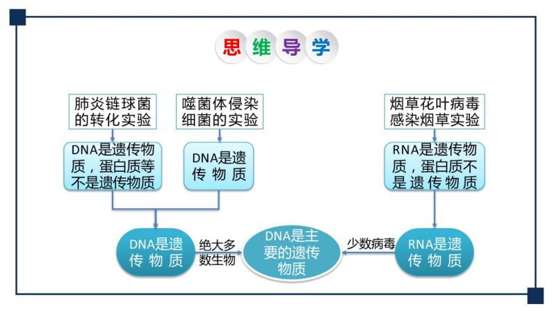 第16讲 DNA是主要的遗传物质 课件05