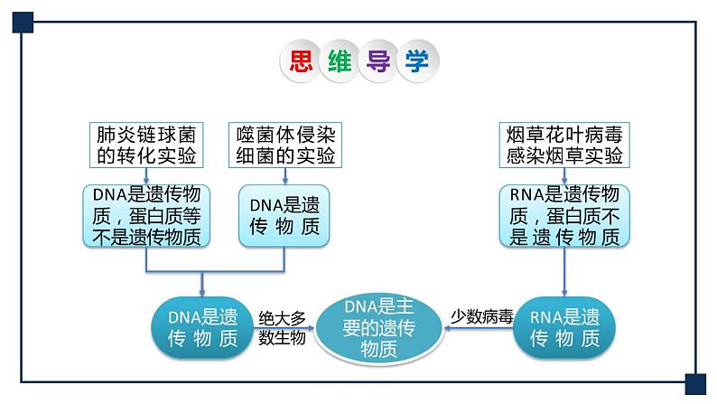 第16讲 DNA是主要的遗传物质 课件05