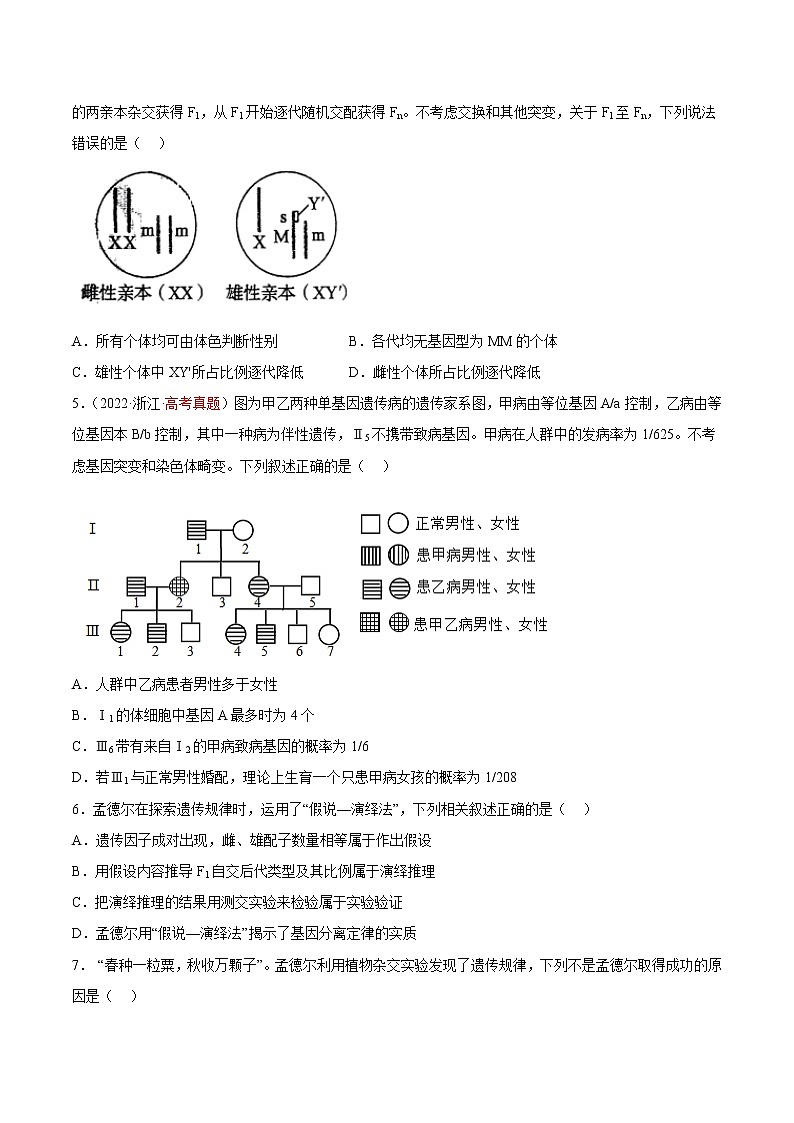 第五单元 遗传的基本规律与伴性遗传（测试卷02）02