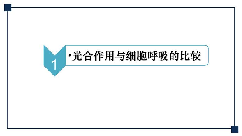 微专题01 光合作用与细胞呼吸知识综合 课件06