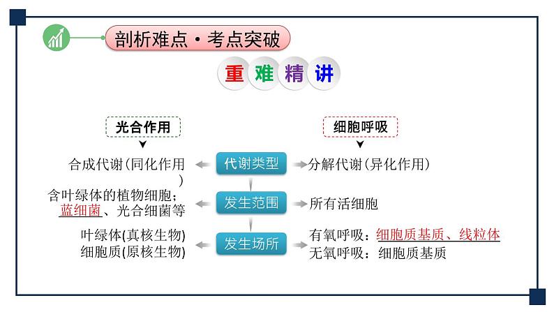 微专题01 光合作用与细胞呼吸知识综合 课件07