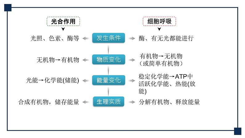 微专题01 光合作用与细胞呼吸知识综合 课件08